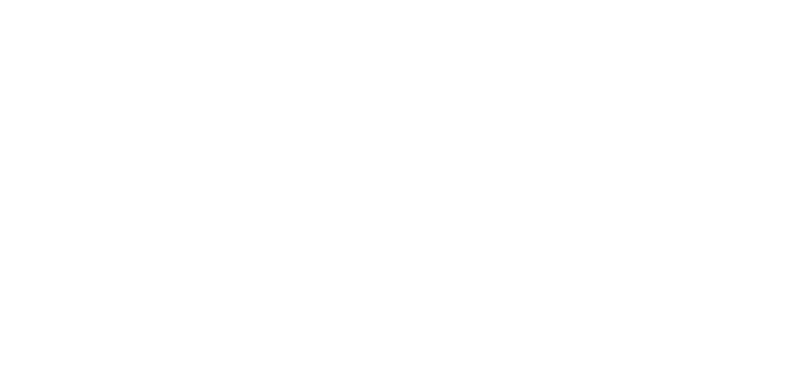 Dra. Salime Saraty